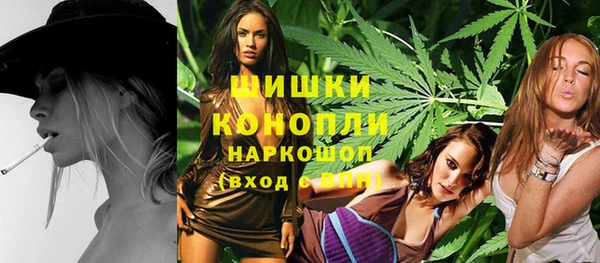 PSILOCYBIN Баксан