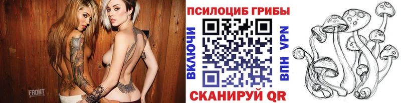 Галлюциногенные грибы Psilocybine cubensis  цены   Чердынь 